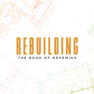 Rebuilding (Part 8)
